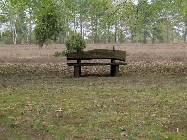 Heide